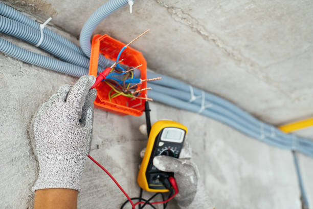 Best Local Electrician Companies  in Volo, IL