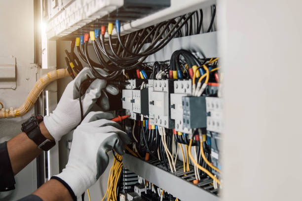 Best Ceiling Fan Installation Electrician  in Volo, IL